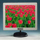 17, TFT LCD Monitor (17, TFT ЖК-монитор)