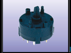 Rotary Switch