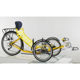 Recumbent Bike (Vélo d`intérieur allongé)