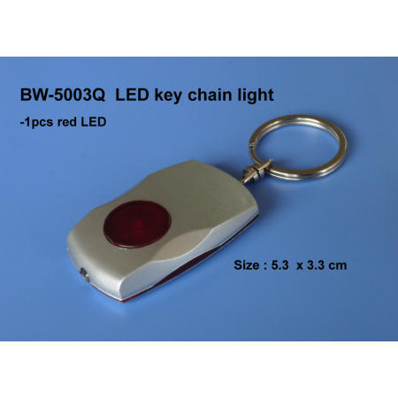LED key chain light (LED porte-clés)