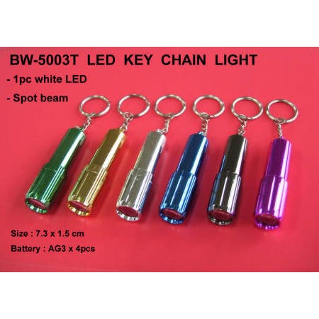 LED key chain light (LED porte-clés)