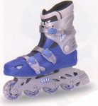 in-line skates (в линию коньков)