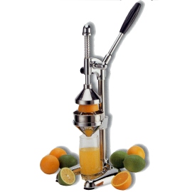 Restaurant Juicer