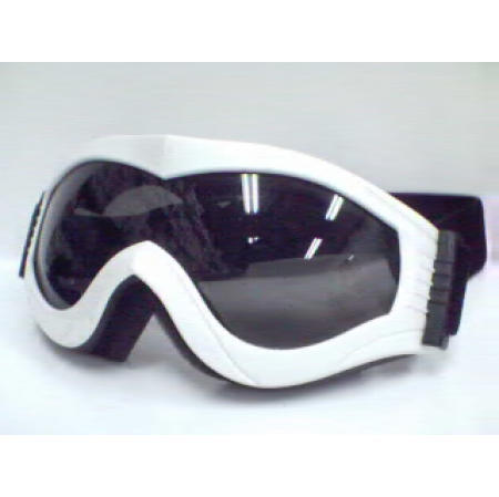 SKI GOGGLE (SKI GOGGLE)