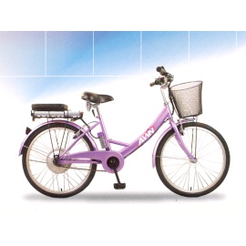 Electric City Bike (Electric City Bike)