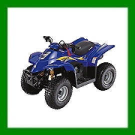 40c.c.ATV(All Terrain Vehicle) (40c.c.ATV (Вездеход))