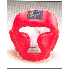 HEAD GUARDS