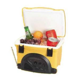 Mini Cooler Radio