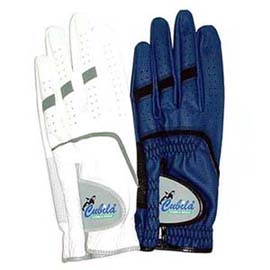 GOLF GLOVES (GOLF GLOVES)