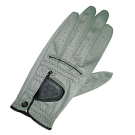 GOLF GLOVES (GOLF GLOVES)