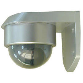 Vandalproof Dome Camera (Vandalproof caméra dôme)