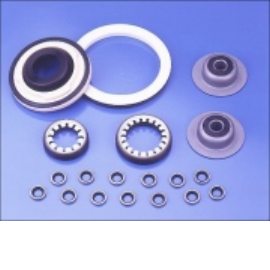 Oil Seals (Oil Seals)