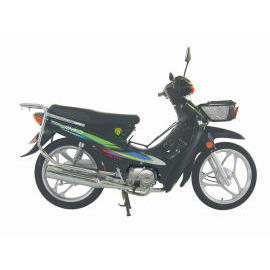 JINKO MOTOR (JINKO MOTOR)