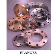 Flanges (Brides)