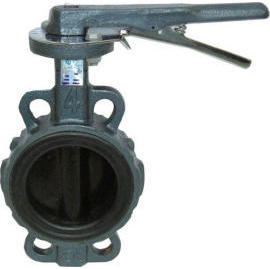 Cast Iron Butterfly Valve