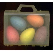 5 PCS EGG STYLE CHALK IN A CASE (5 PCS EGG STYLE DE CRAIE DANS UN CAS)