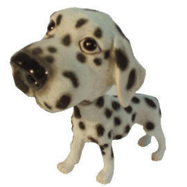Dalmatian(The Head-waved Dog)