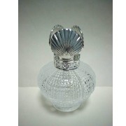 Aromatherapie Glas-Flasche, 100 ccm (Aromatherapie Glas-Flasche, 100 ccm)