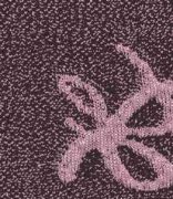 Jacquard & EDV (Jacquard & EDV)