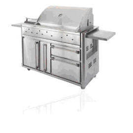 Barbecue Rack Design and Vehicle Type of Side Stove (Barbecue Rack Design et type de véhicule de Side Cuisinière)