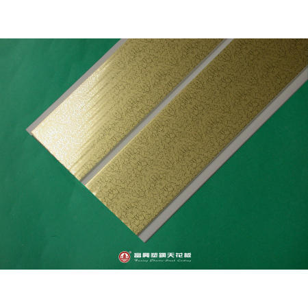 Plastic Ceiling (Plastic Plafond)