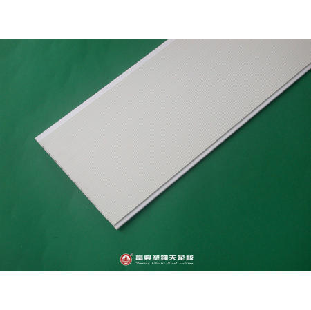 Plastic Ceiling (Plastic Plafond)