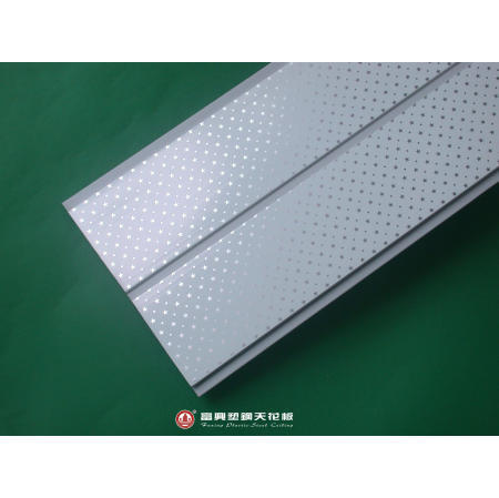 Plastic Ceiling (Plastic Plafond)