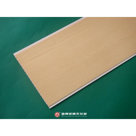 Plastic Ceiling (Plastic Plafond)