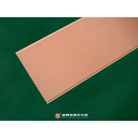 Plastic Ceiling (Plastic Plafond)