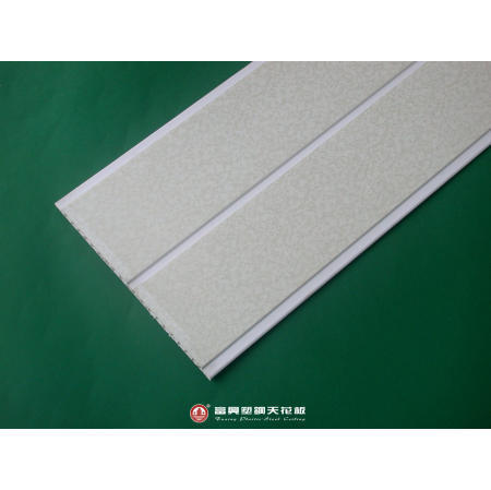 Plastic Ceiling (Plastic Plafond)