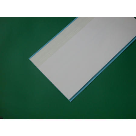 Plastic Ceiling (Plastic Plafond)