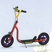 SR-G-10x10C 10`` Scooter (SR-G-10x10C 10`` Scooter)