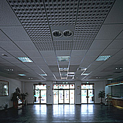 Ceiling Suspension Grid (Plafond suspendu de la grille)