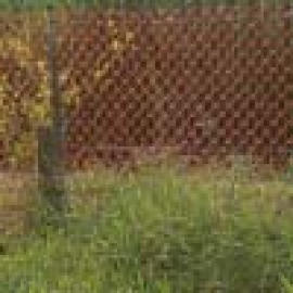 Fence Netting (Fence Netting)