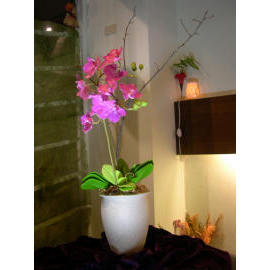 Artificial Flower (Artificial Flower)