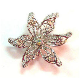 rhinestone brooches (rhinestone brooches)