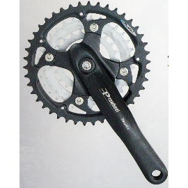 BICYCLE CHAINWHEEL (VELO PLATEAUX)