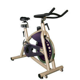 Spinning Bike (Spinning Bike)