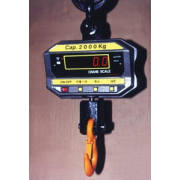 Electronic Crane Scale (Electronic Crane Scale)