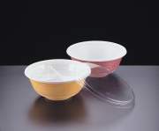 Soup & Bowl Packaging Container (Soup Bowl & Verpackung Container)