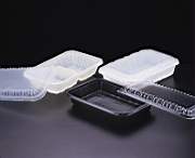 Disposable Food Packaging Container (Одноразовая Пищевая упаковка Контейнеры)