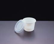 Disposable Food Packaging Container (Одноразовая Пищевая упаковка Контейнеры)