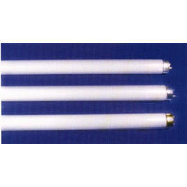 T9 Fluorescent Tubes. (T9 Fluorescent Tubes.)