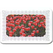 P.P PLACE MAT (P.p SET DE TABLE)