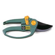 Pruner (Pruner)