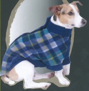 Dog Apparel (Dog Apparel)