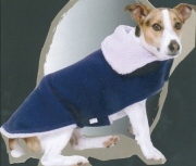 Dog Apparel