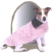 Dog Apparel (Dog Apparel)