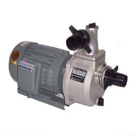 Motor Pump (Motor Pump)