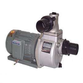 Motor Pump (Motor Pump)